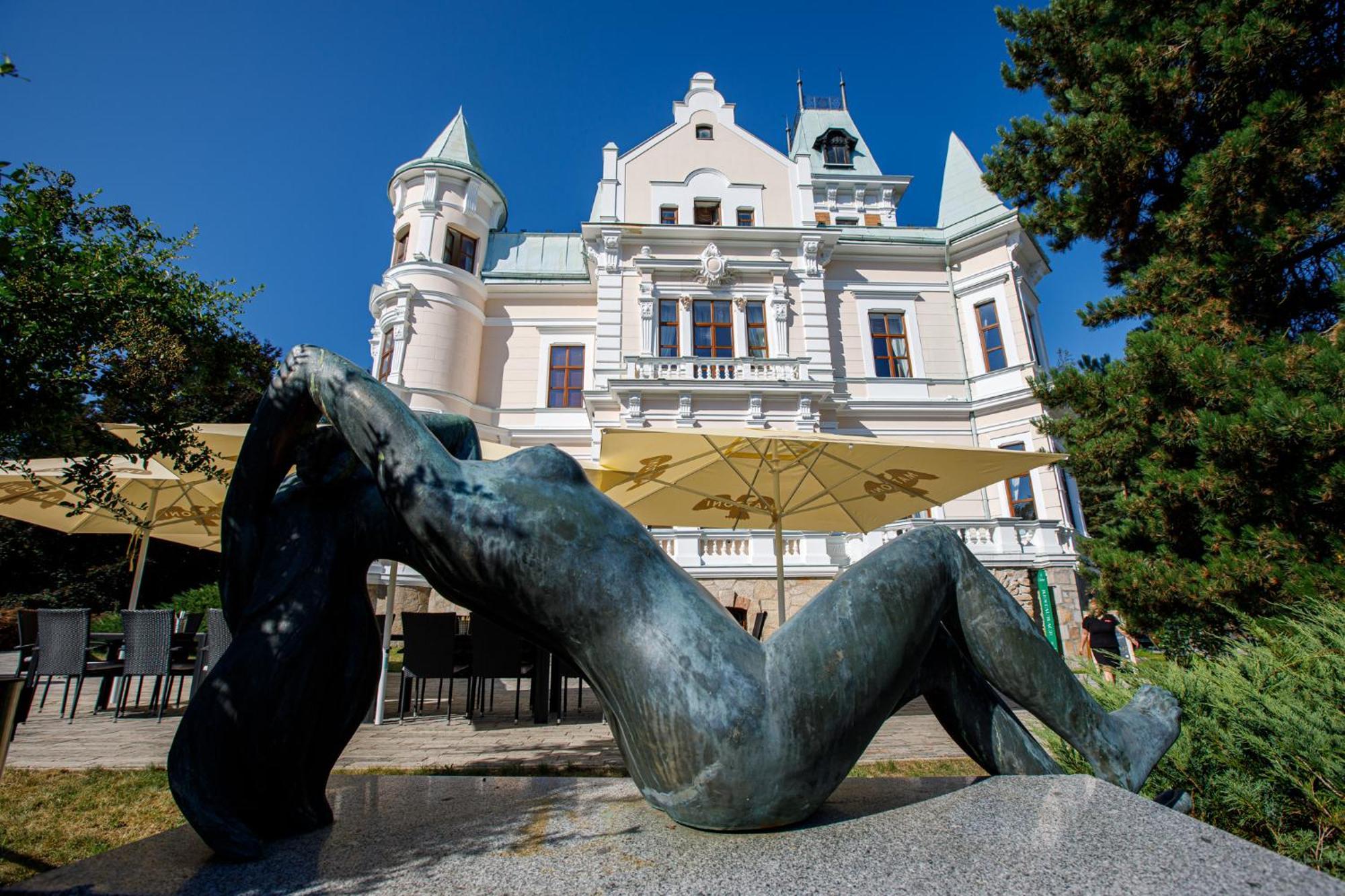 Hotel Chateau Cihelny 4*